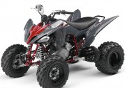 Yamaha YFM250R Yamaha YFM250R